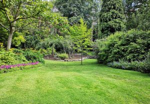 Optimiser l'expérience du jardin à Mericourt-l'Abbe